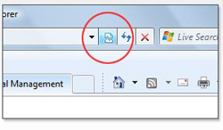 IE Compatibility Button